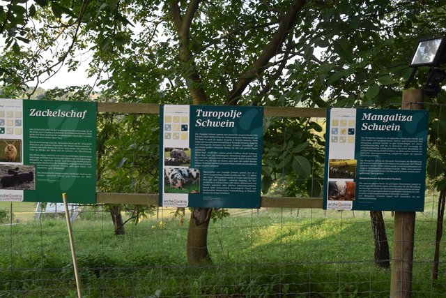 Foto: Martin Wurglits