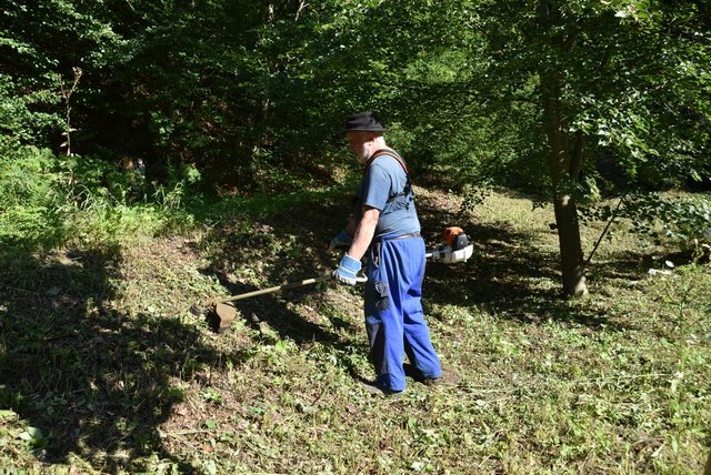 Schwazer Silberwald - GESUNDHEITS- und HEILWALD
