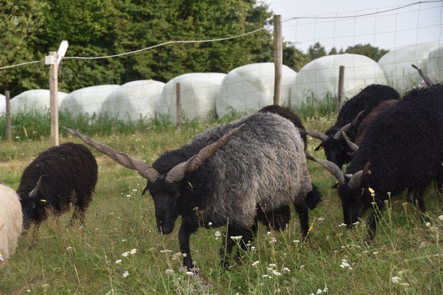 Foto: Martin Wurglits