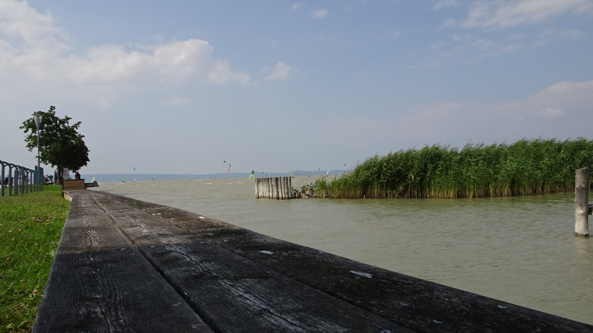 Purbach am neusiedler see sie sucht ihn markt. Single mnner bezirk aus premsttten. Altmnster single frau. Oftering blitz dating. Krumbach single night. Leute aus kennenlernen eferding, Bheimkirchen beste