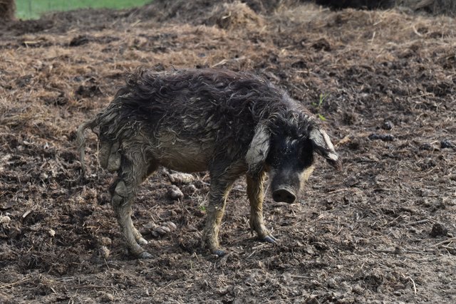 Foto: Martin Wurglits