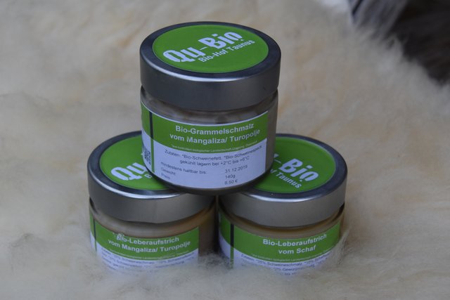 Foto: Martin Wurglits