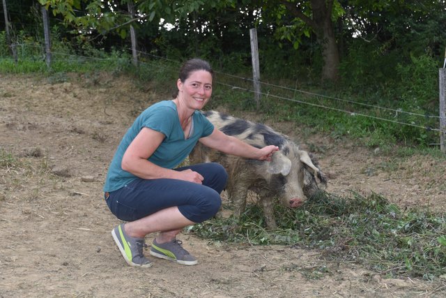 Das Fleisch der draußen gehaltenen Mangalitza- und Turopoljeschweine wird zu Schinken, Wurst und Aufstrichen verarbeitet. | Foto: Martin Wurglits