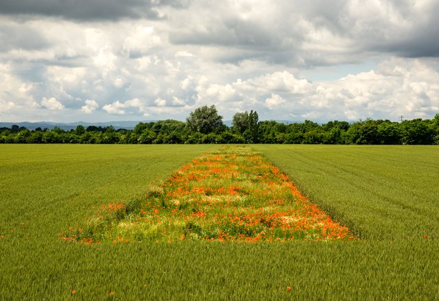 Foto: Andreas Hafenscher