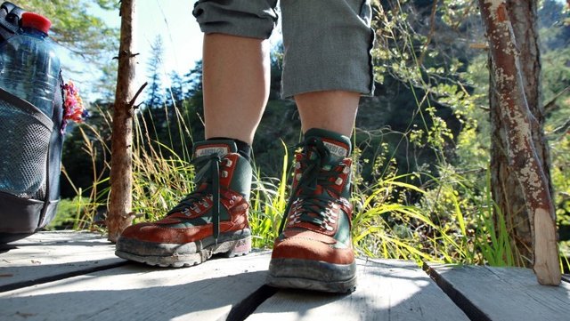 Mobilität im Naturpark Ötscher-Tormäuer: Bis 29. September verkehrt neben der Mariazellerbahn ein Wanderbus in unserer Region. | Foto: weinfranz.at