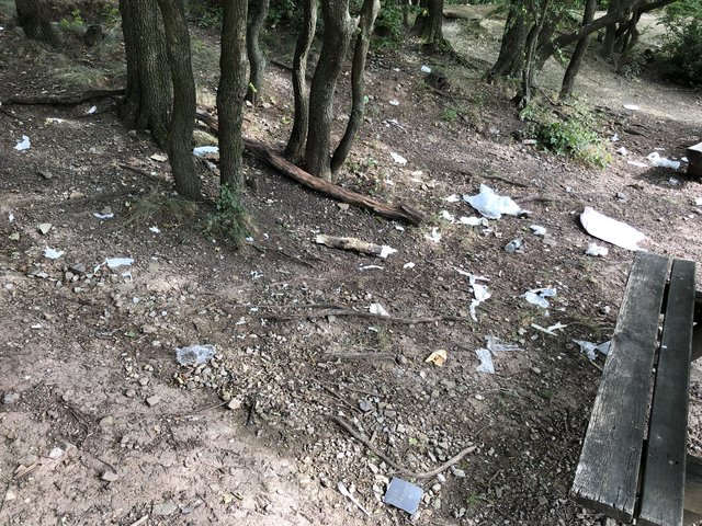Das sind die Schattenseiten des Grillplatzes. Müll wird oft achtlos im Wald entsorgt.