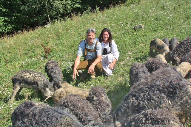 Martina Neumann und Rudolf Strobl halten derzeit rund 190 Tiere. | Foto: Qu-Bio