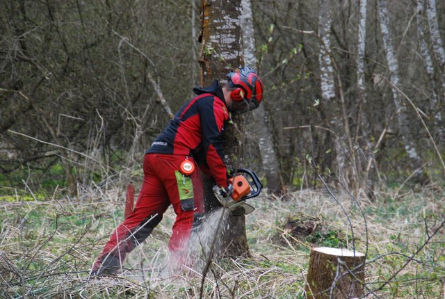 Forstunternehmer René Pucher ist täglich im Wald unterwegs und dort auch den Gefahren ausgesetzt | Foto: Niedermüller