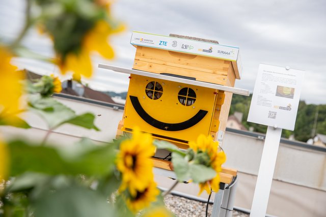 Bee-o-Meter