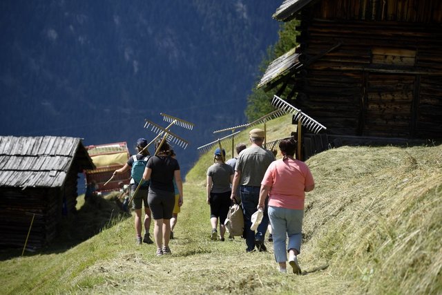Klimaschonender Tourismus: Zum Naturerlebnis des Wiesenmonats zählte auch das Mähen mit der Sense. Die Technik konnte auch beim Wiesenfest versucht werden.