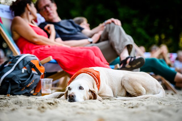 Auch Hunde durften entspannen.