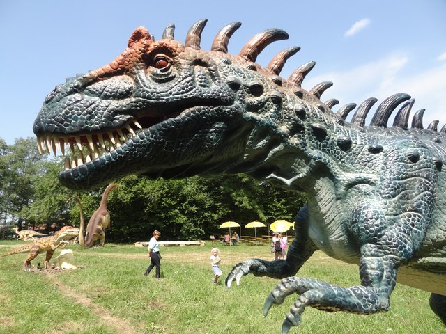 Über 50 Modelle von Dinosauriern und deren Nachfahren in Lebensgröße sorgen für ein wahres "Urzeit -Feeling" in Nassereith.