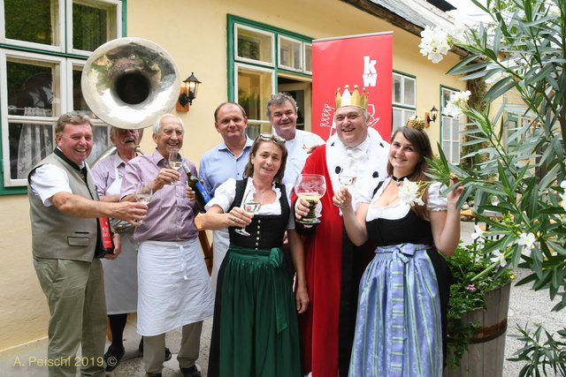 Die Gumpoldskirchner Königswein-Winzer haben sich nun zusammengetan und werden beim vierten Weinsommer erstmals mit einenmKönigswein-Stand vertreten sein. Vlnr: Otmar Schnitzer, der ehemalige Weinkönig Alfred II. mit seinem Sousaphon, Gerhard Pinter, Herbert Bauer, Karin Freudl, Michael Rechtberger, Weinkönig Alfred III. Freudorfer und Weinkönigin Natascha I.