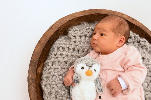 SOPHIE • Datum: 12.1.2019, Eltern: Katharina &amp; Philipp Damm, Größe: 55 cm, Gewicht: 4150 g | Foto: babysmile