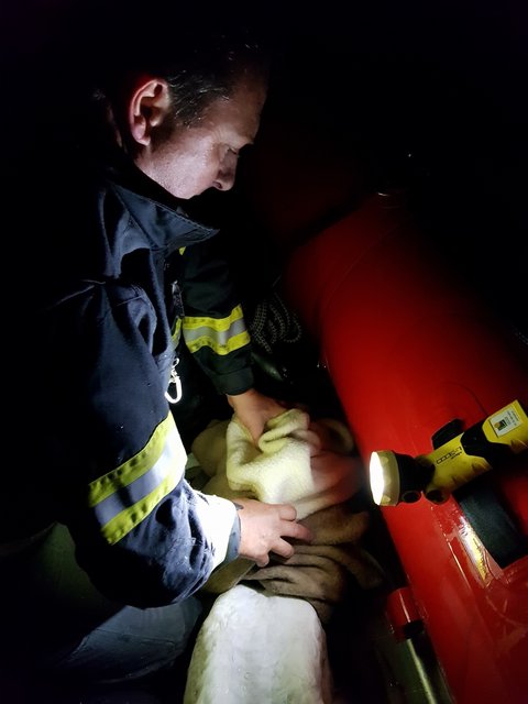 Foto: Freiwillige Feuerwehr Grafenwörth