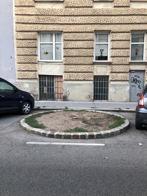 Der Baumstumpf ist noch da, ebenso das Unkraut.