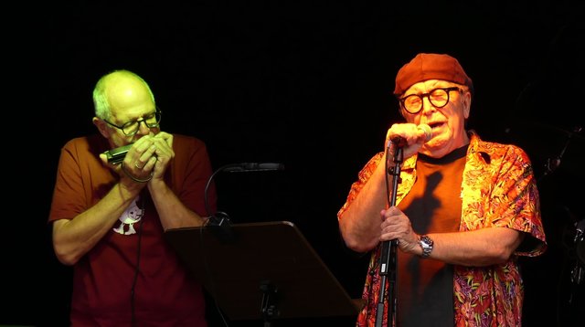 Vielfältige Musik war wieder ein Markenzeichen des 27. Bourbon Street Festivals. | Foto: W. Schwaiger/K. Lederer