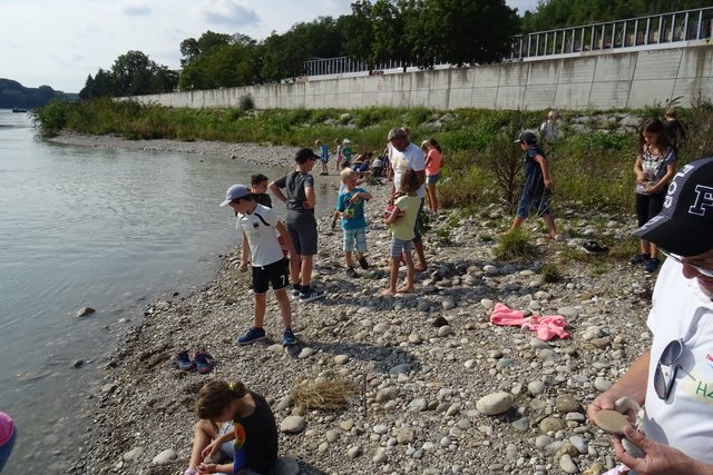 Viele Steine. | Foto: TVM