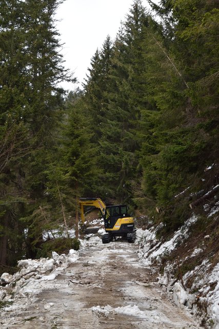 Nach dem Winter mussten nicht nur die Forstwege rundum Innsbruck wieder freigeräumt werden, auch die Lawinenverbauung auf der Arzler Alm muss saniert werden.