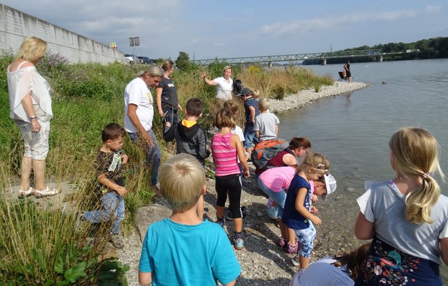Am Donauufer gibt es viel zu entdecken. | Foto: TVM