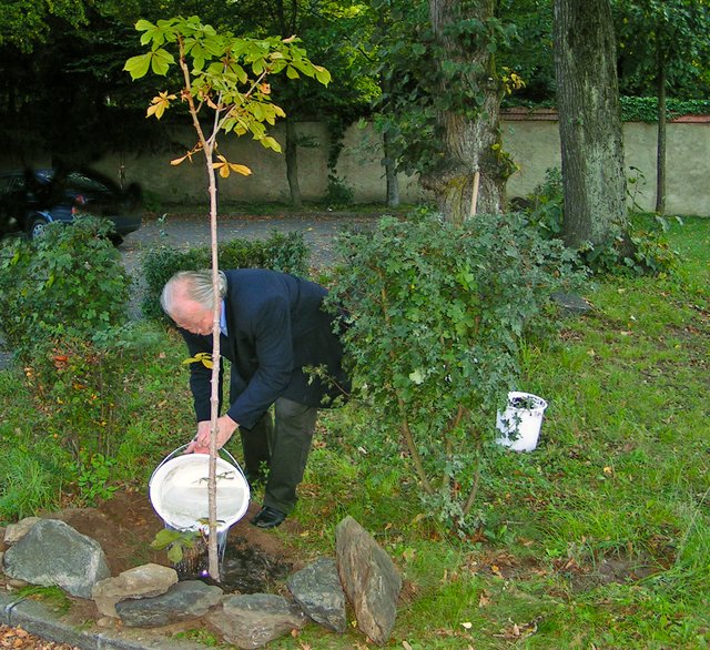 Symbolfoto