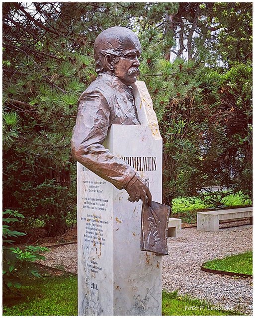 Semmelweis