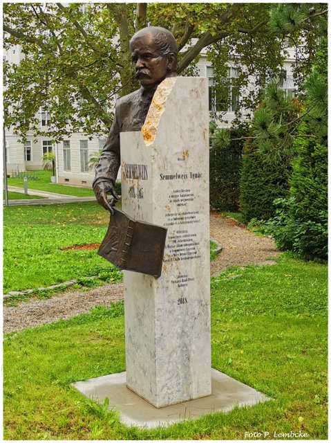 Semmelweis