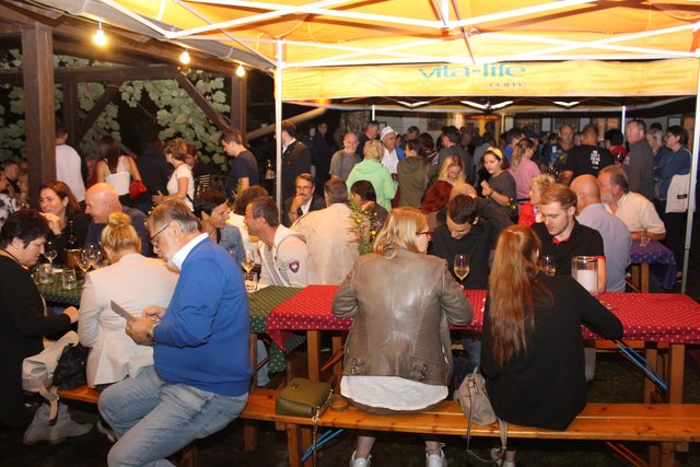 Foto: Katrin Löschnig