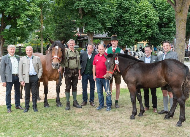 (v.li.n.re.) NR Franz Eßl, BM Herbert Eßl, Züchter Gottfried Gruber, Käufer Raimund Lerchbaumer aus Wilklern Mölltal, OBM Gerhard Sampl, Obmann Johann Schitter, LK Präsident Rupert Quehenberger.
