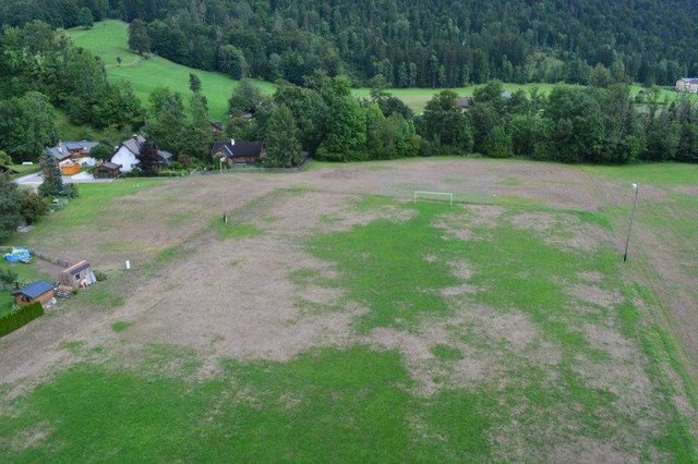 Im Ausseerland sind 150 Hektar vom Engerling-Befall betroffen.