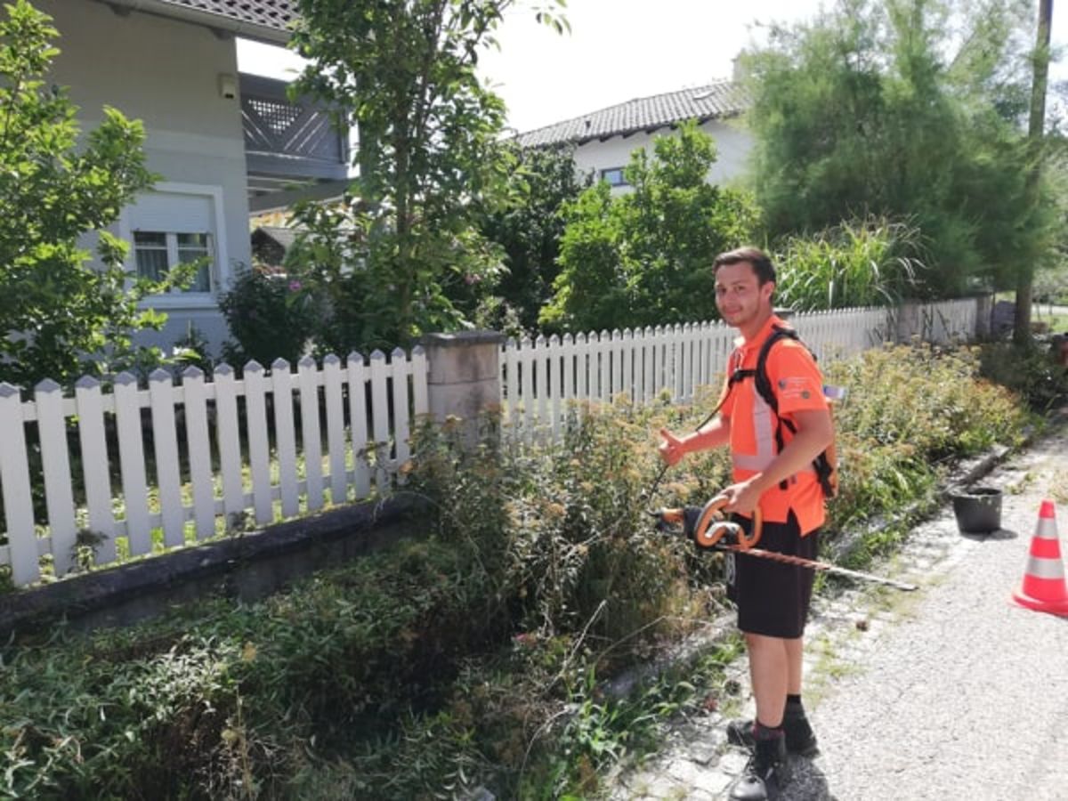 Lehrlingsrundschau So Schneidet Und Pflegt Man Hecken Richtig