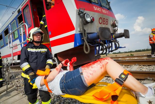 Foto: Seyfert / www.bfk-moedling.at