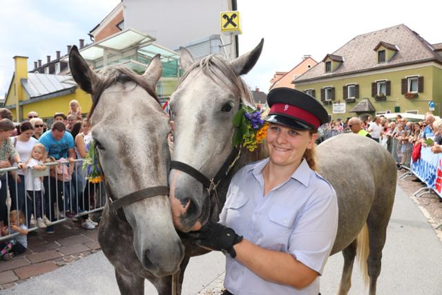 Die wilden Hengste kehren in ihre Heimat nach Piber zurück. | Foto: Cescutti