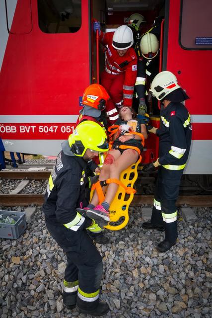 Foto: Seyfert / www.bfk-moedling.at