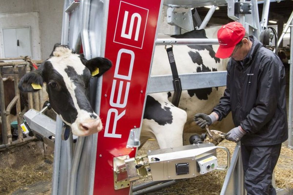 Landmaschinentechni Nur Gesunde Kuhe Geben Auch Viel Milch