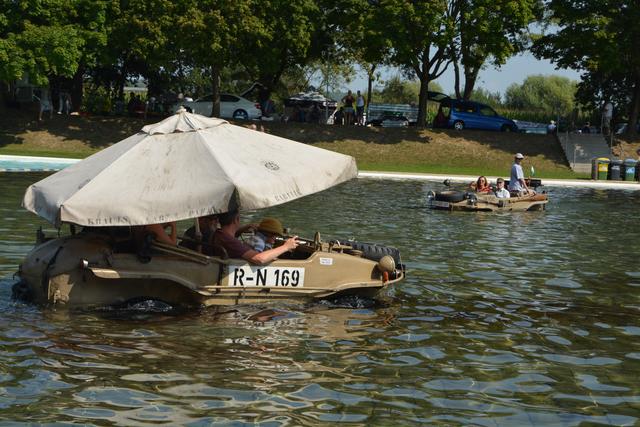 Schwimmkäfer zogen im Freibad Fürstenfeld ihre Runden.