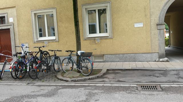 Nur vier Abstellplätze gibt es in der Schillerstraße zwischen Dinghoferstraße und Starhembergstraße, neben dem Baum wäre Platz. | Foto: privat
