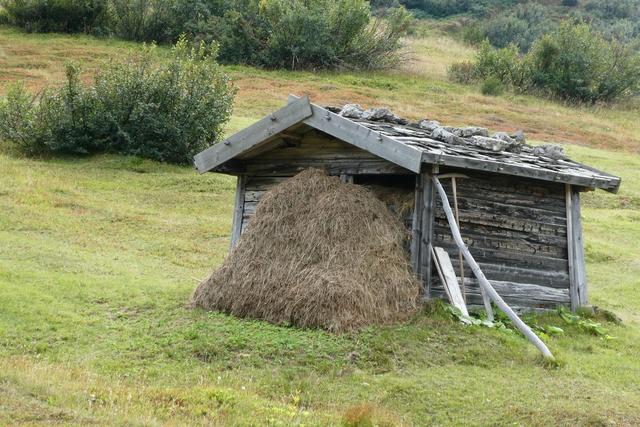 Prall gefüllter HEUSTADL – Hoch droben im Bergmahd - alles Handarbeit ( grosses Lob für den Bauern ) | Foto: Ferdinand Mader