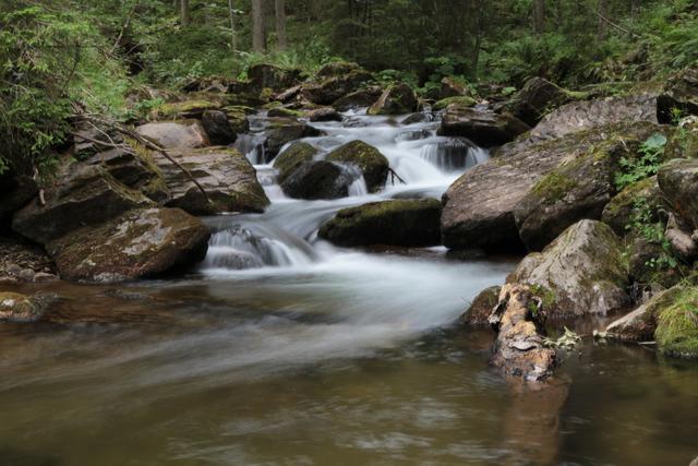 Die Schwarze Sulm ist noch weitgehend unverbaut – und schneidet auch in unserem Gewässer-Check sehr gut ab. | Foto: Walter Postl