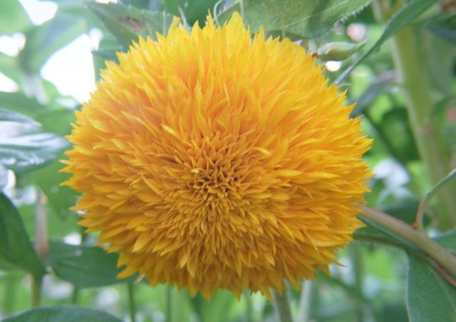 Nach Regen kommt Sonne - Linz