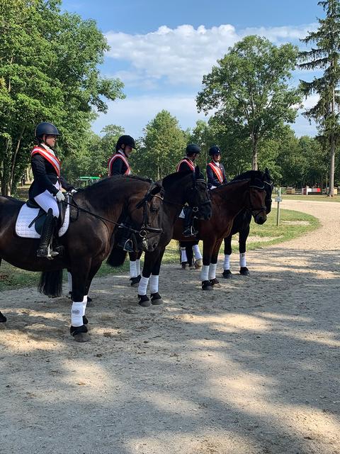 Anna Schwaninger, Jenny Mösenlechner, Sabine Frauenschuh und Anita Hundstorfer | Foto: Elisabeth Schwaninger
