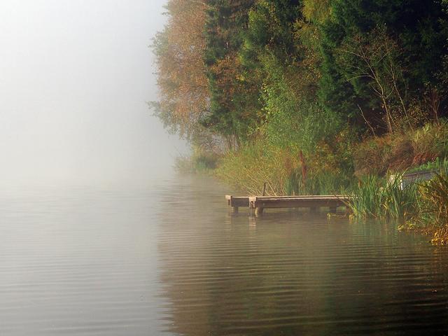 Der Nebel am See bringt auch eine eigene Stimmung.