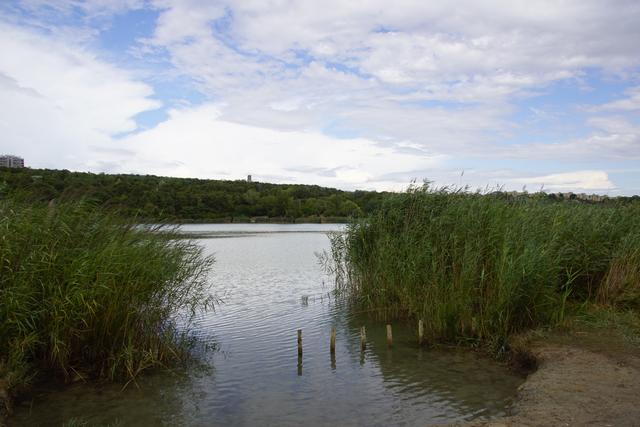 Wienerberg Wienerbergteich Liesing
