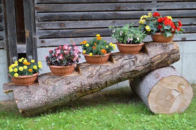 Wunderbarer Blumenschmuck in Soboth