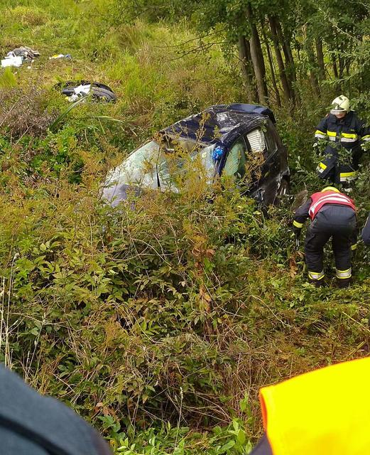 Sträucher und Bäume nahmen die Sicht auf das Unfallauto.  | Foto: FF Altweitra