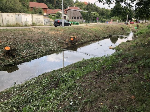 Beim Umschneiden der Bäume gingen die Arbeiter zu schroff vor – Nach Beschwerden will die Stadt besser informieren.