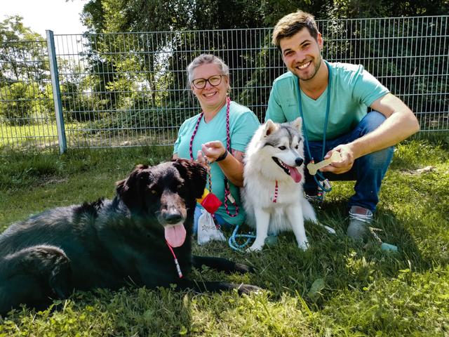 Villach Unternehmerduo Liebt Hunde Villach