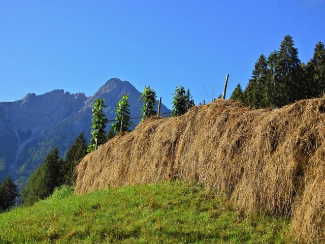 Spätsommer – Spätsommer beim Tschabelehof am Lienzer Schloßberg | Foto: Alfred Schmutz