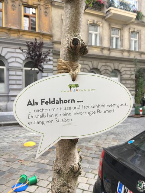 An jedem Baum hängt ein Kärtchen mit Infos.