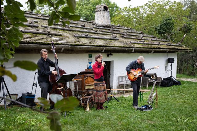 "De Strawnza" spielten vor dem Hof und in der Stube.  | Foto: Manuel Binder